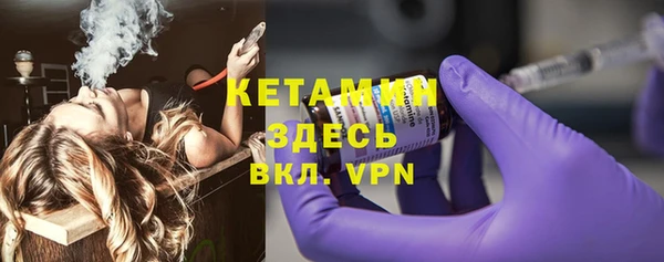 прущие грибы Дмитров