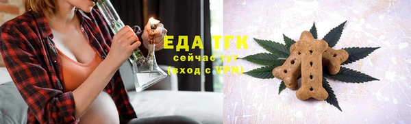 шишки Медногорск