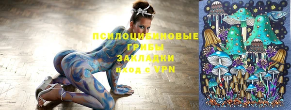 прущие крисы Гусиноозёрск