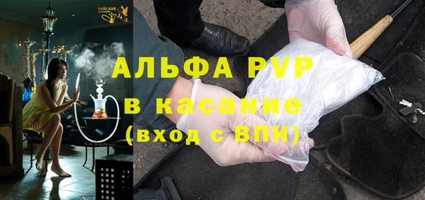 сатива Гусь-Хрустальный
