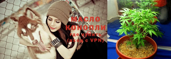 шишки Медногорск