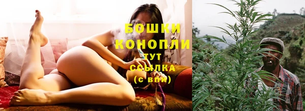 сатива Гусь-Хрустальный