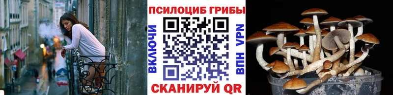 Псилоцибиновые грибы прущие грибы  Новый Оскол 